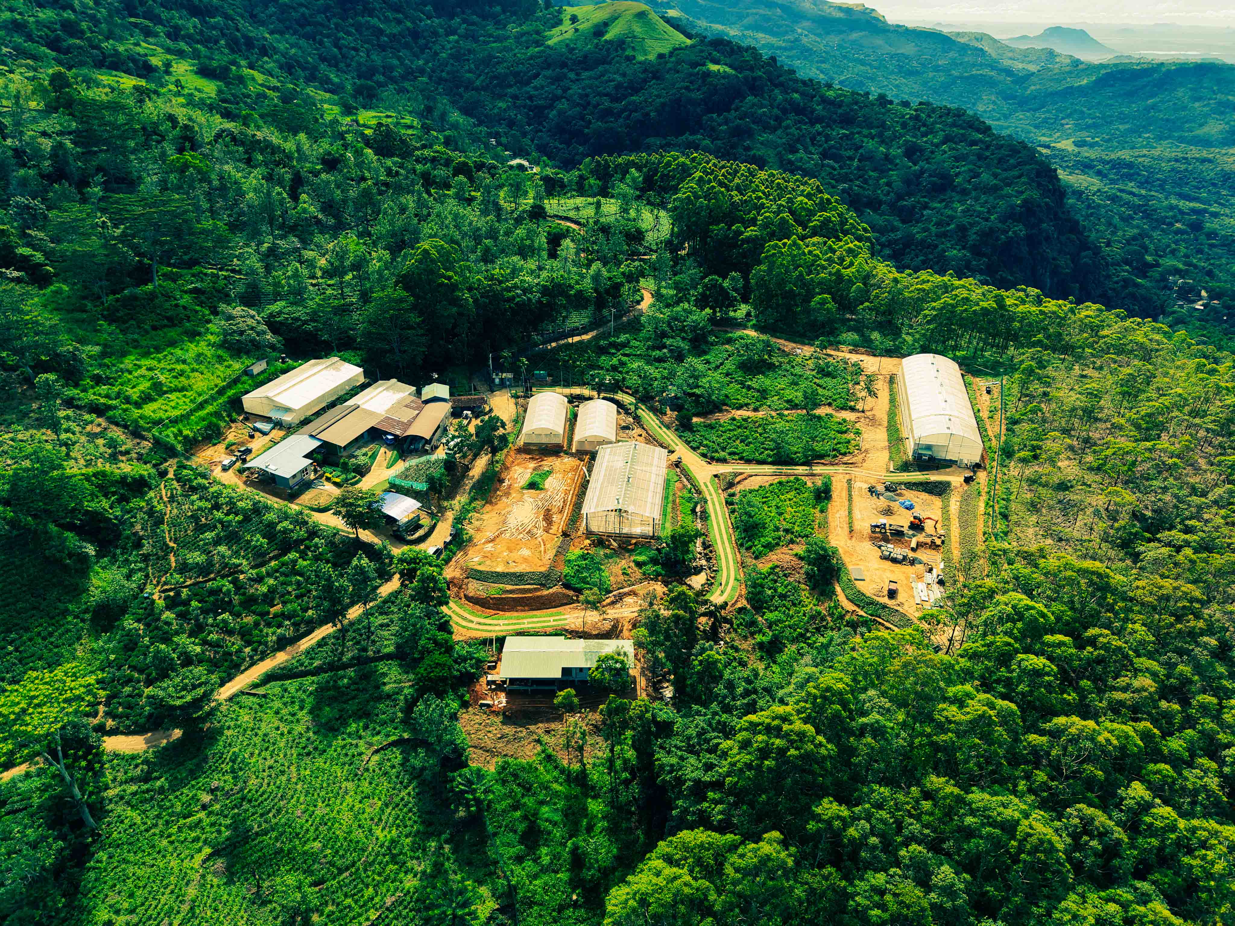 Farm Overview 1