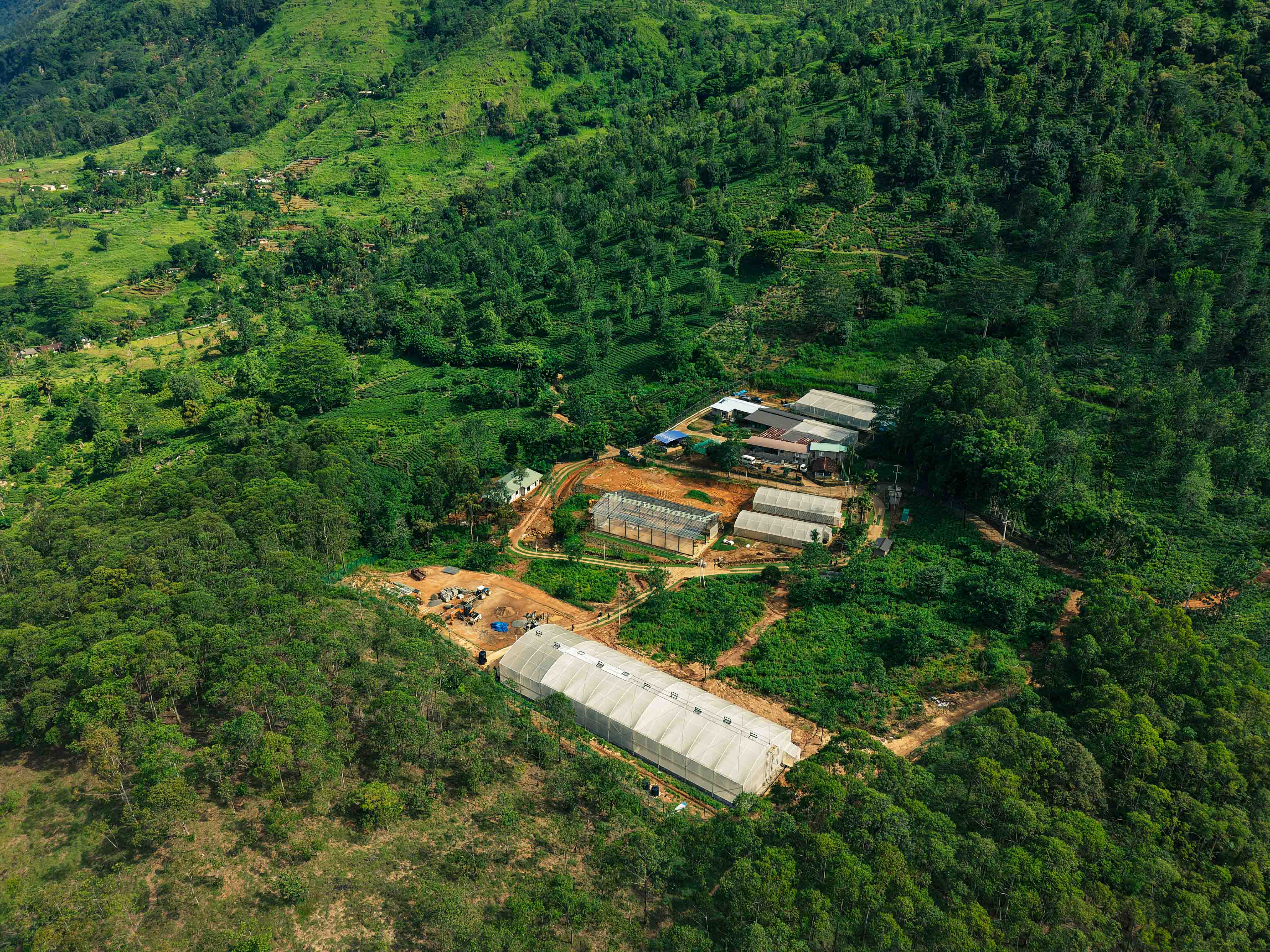 Farm Overview 2