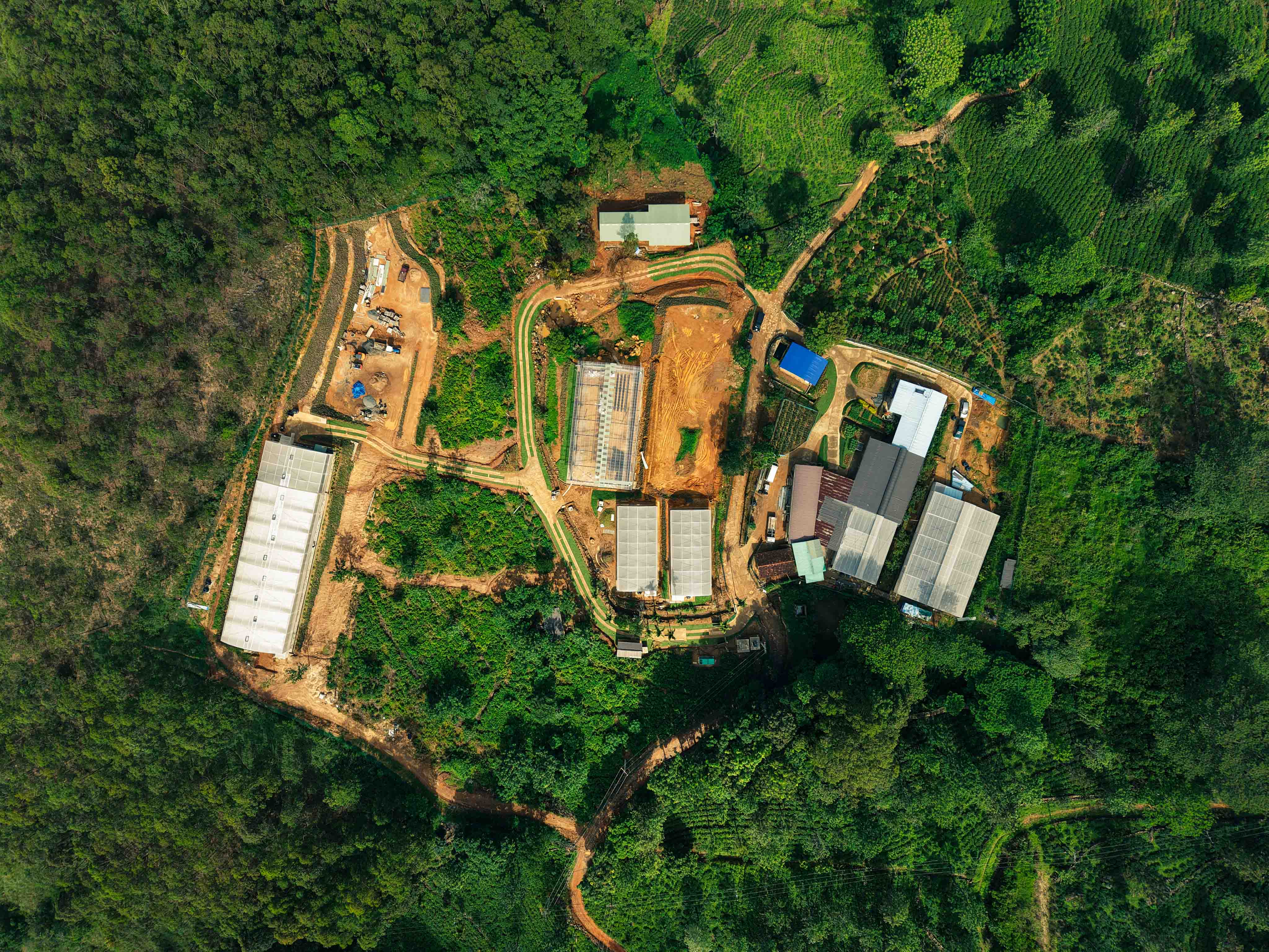 Farm Overview 4
