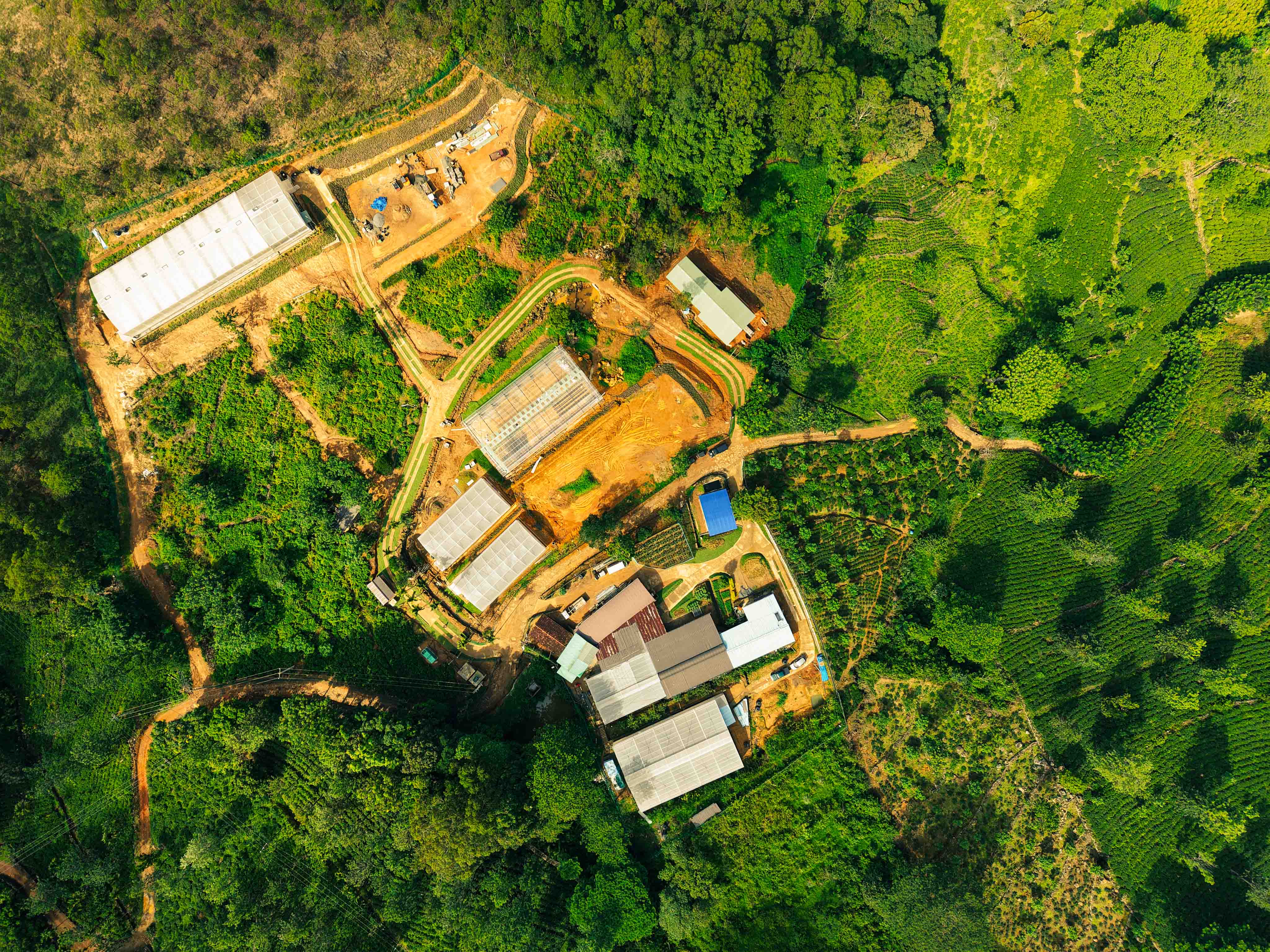 Farm Overview 5
