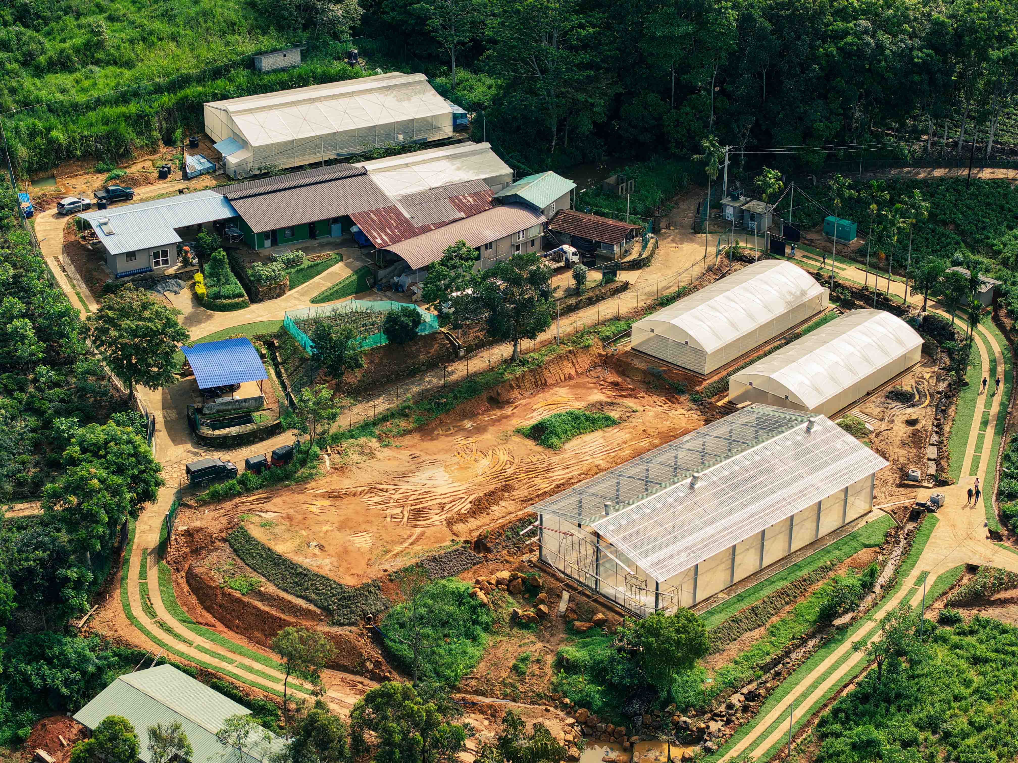 Farm Overview 7