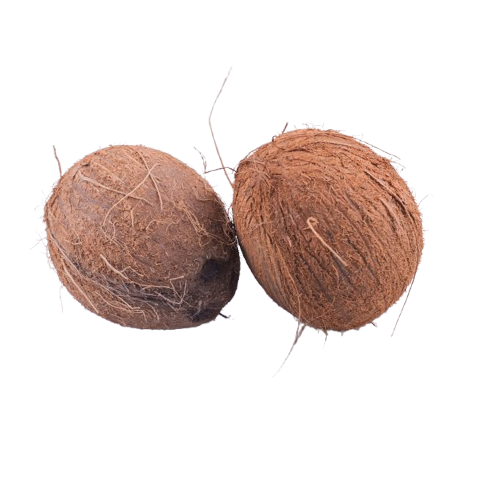 Coconut